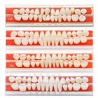 4 Set  Dental Porcelain Dentures Material Alloy-pin Teeth Colors Shade Guide 24 