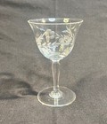 Set Of Five  5  Liquor Cocktail Etched Glass 5 1 2  Tall Set Of Five  5  Lcm2 B