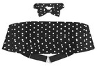 Cumberbund   Bowtie Paisley  Polka Dot Print Design Men s Cummerbund Bow Tie Set