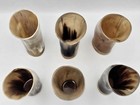 6 Viking Beer Horn Cups     Natural Ox Horn Drinkware     Handmade Medieval Cosplay 