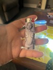 New 2 Bic Lighters Vintage Marilyn Monroe Pin Up Calendar
