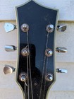 Vintage Style Electric Guitar Custom Graphic Top Hadean Eg-532 Br 