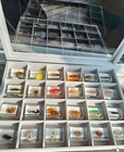 24pcs Real Fish In Resin Specimen Collection Marine Life With Display Box