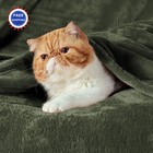 Fleece Blankets King 108 X 90 Olive Green Soft Lightweight Plush Cozy Fuzzy