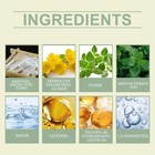 Herbal Diffuser Pens W  Mints   Muiiein Lung Detox   Liver Support Nasal Inhaler