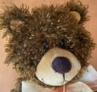 First   Main Brown Bear Named Graham Plush 14 