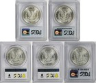 Lot 5 Coins Different Date Morgan Dollar  1 Ms 64 Pcgs