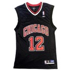 Reebok Chicago Bulls Kirk Hinrich 12 Nba Jersey  Vtg Y2k Black Mens Small Mesh