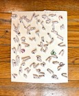 Antique Shank Button Lot On Collector Card Mother Of Pearl Glove Shoe Victorian