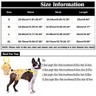 Dog Diaper Sanitary Panties With Suspenders Pet Physiological Pants Adjustable