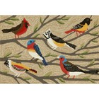 Liora Manne Frontporch Birds Indoor outdoor Rug Multi 1 8  X 2 6 
