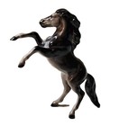 Defective Hagen Renaker Horse Mini Rearing Stallion A234 Glossy Black Ch G3d