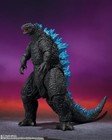 Godzilla X Kong The New Empire 2024 Godzilla S h monsterarts Action Figure