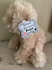 Gund Designer Pups Cockapoo Plush Stuffed Dog Nayla