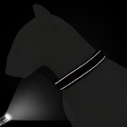 Embroidered Dog Collar Personalized Reflective Nylon Custom Name Phone Id
