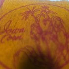 Vintage 1950 State Of Iowa Mini Wool Felt Pennant Avg 7 5 to 8  Long  Home D  cor