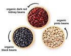 Organic 15 Lbs Dry Beans Bundle Of Dark Red Kidney Beans  Pinto And Black Beans
