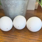 12 Empty Real Chicken Egg Shell  White - Hand Blown - Psanky  Psanka - Crafts