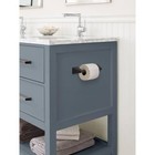 Amerock Pivoting Double Post Toilet Paper Holder In Oil Rubbed Bronze