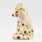 Hansa Cheetah 21 Bh2990 New Realistic Plush Animals From Japan
