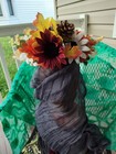 Late Summer Flower Tiara Pinecones  Multicolor