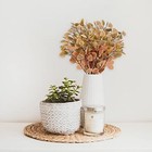 6 Pcs Artificial Eucalyptus Stems Fall Stems Tall Silver Dollar Eucalyptus Le   
