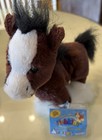 Webkinz Lot Of 4 Please Read About Codes