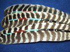 Fan W  3 Hand Painted Turkey Wing Feathers   Rabbit Fur American Navajo Ss02