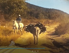 Kodachrome Early Color Auto Car Horseback Scenery 8mm Home Movie Film Reel B925