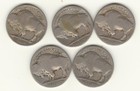 1913 P Type 2  Restored Date Buffalo Nickel - Free Shipping -  A286