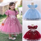 Girls Flower Bridesmaid Dress Baby Kids Princess Party Lace Bow Wedding Dresses