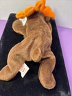 Ty Beanie Baby Babies Rare 3rd 1st Gen Tag Chocolate