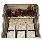 Standard Chicken Coop  4 Bird 
