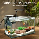Vimvins 10 Gallon Glass Small Fish Tank With Filter Light And Lid  Aquarium S   