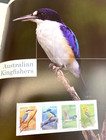 2010 Australia Post Stamp Year Set Book  Mnh