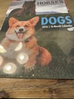 Lot Of 3 Animal Themed Calendars 2026 Unused Dogs Butterflies  Horses