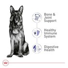 Large Breed Adult Dry Dog Food  30 Lb - Size Health Nutrition For Optimal Growth