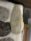 31 Piece Lot Of Larger Spear Heads And Arrowheads