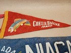 Lot 3 Vtg Cherokee Indian Reservation Coeurdalene Idaho Niagara Falls Pennant