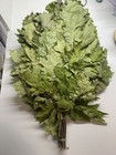 10 Oak With Herbs Lin  Brooms Sauna Banya Venik Eiche Whisks Eco 2025 Ukrainian