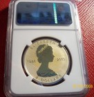 2013  Canada 1 2 Oz Silver  4 Maple Amazing Gilt By Nature Ngc  Reverse Pf 70 Uc
