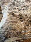 New Brazilian Brindle Grays Leather Cowhide Rug Cow Hide Rugs 7 7    X 7    Western