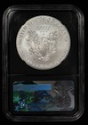 2017-w 1 Oz Silver American Eagle Burnished - Mercanti - Ngc Ms 70 - Sku-e3769