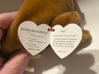  rare  Retired Ty Beanie Baby 1999 Paul The Walrus Mint W tags - Tag Errors