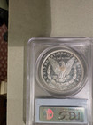 1886 P Morgan Silver Dollar Pcgs Ms 64 Dmpl  deep Mirror Proof Like   2