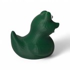 Frog Duck