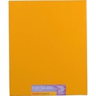 Kodak Portra 400 Color Negative Film  8x10   10 Sheets  Usa  1708205