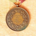 Medal Of Civil Value Guareschi Alfeo 8 April 1912 Fountain Parma