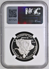 2004 W Platinum Eagle P 100 Ngc Pr70 Ultra Cameo