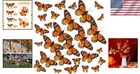 120 Pcs 3d Feather Monarch Butterfly Decor Orange